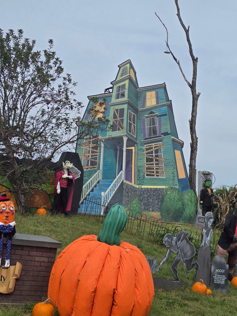 20250929_1253161355447788196798918