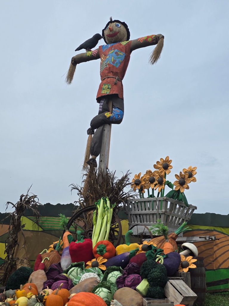 20250929_1253561192031351199219498