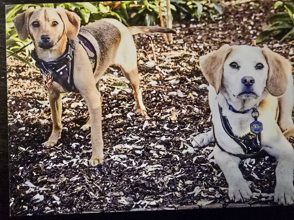 20250510_2210154526500739026608634