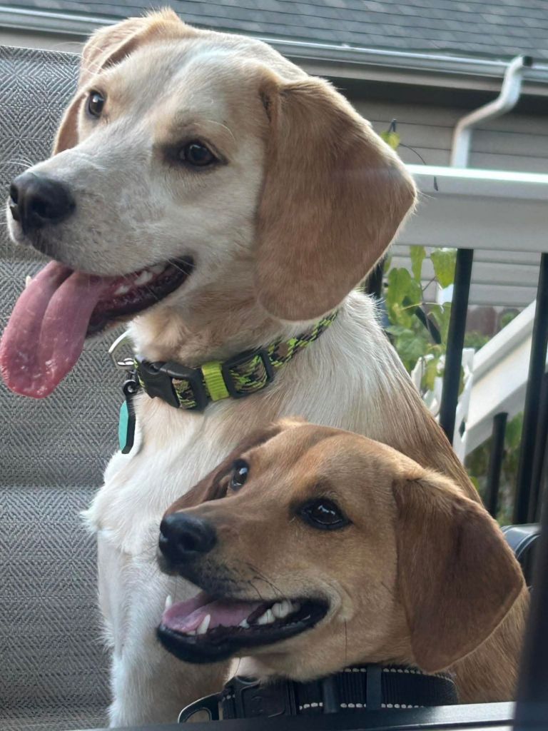 fb_img_17620408575358889082928787772735