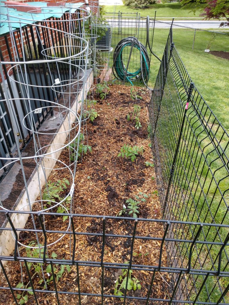 img_20210510_154056548_hdr7917719172151821470